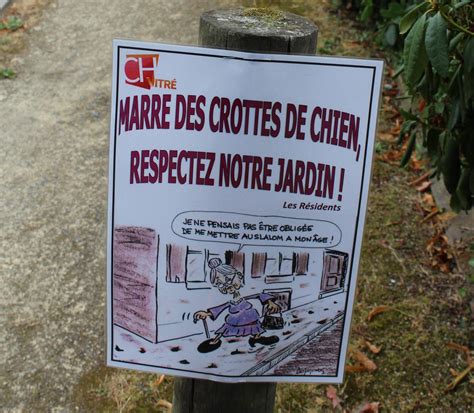 Affiche Crotte De Chien Une affiche répugnante contre les crottes de