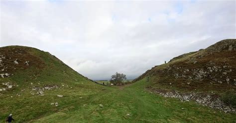 Donations Flood In From Across The Globe After Sycamore Gap Tree Cut