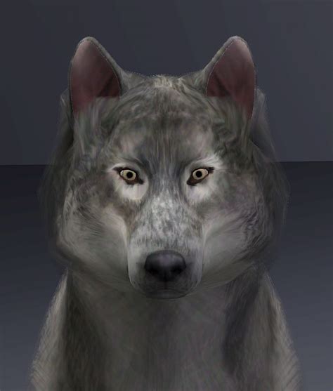 Mod The Sims - Grey wolf