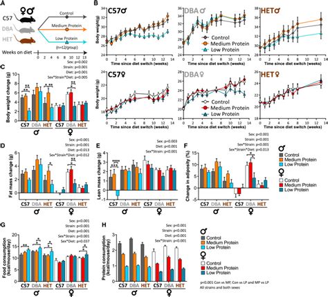 Sex And Genetic Background Define The Metabolic Physiologic And Molecular Response To Protein