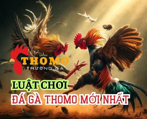 Tr Ng G Thomo Xem G Tr C Ti P H M Nay