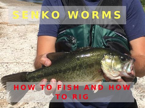 3 Killer SENKO WORM Rigs And How To Fish Them (Step By Step Guide)