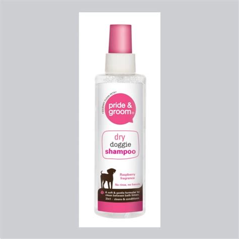 200ml Dry Shampoo Spray Pride & Groom - Hardware Heaven