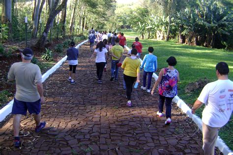 Quais Os Benef Cios Da Caminhada Luxos E Luxos