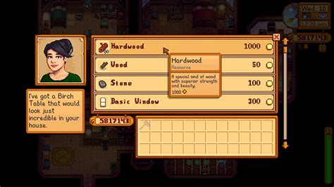 Stardew Valley: The Best Mods For Robin – FandomSpot