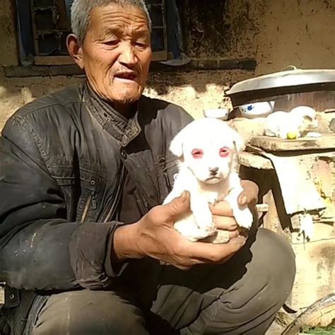 農村老人的生活現狀，農村老人孤苦伶仃，農村老人生活該何去何從 每日頭條