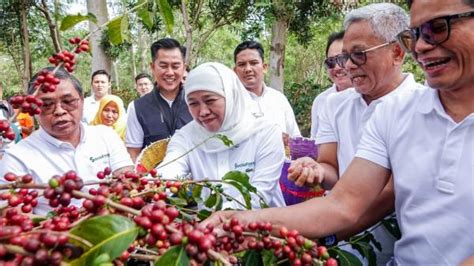 Gubernur Khofifah Dukung Peluncuran Platform Socio Forest Kopi Jatim