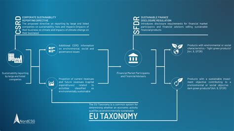 What Is The Difference Between The CSRD And The EU Taxonomy