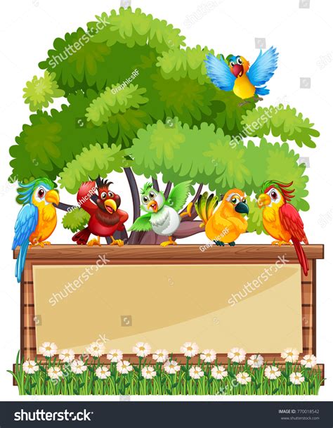 Border Template Wtih Wild Parrots Illustration Stock Vector (Royalty ...