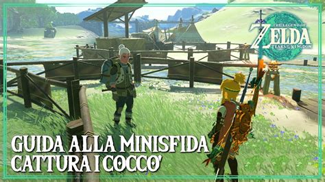 Cattura I Cocc Guida Alla Minisfida Zelda Tears Of The Kingdom Youtube