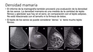 Mamografia Pptx El Origen Del Asuntos Ppt