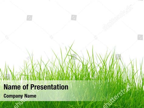 Meadow Green Grass Texture Powerpoint Template Meadow Green Grass Texture Powerpoint Background