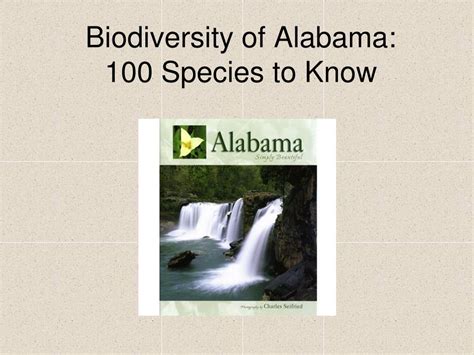 Ppt Biodiversity Of Alabama 100 Species To Know Powerpoint