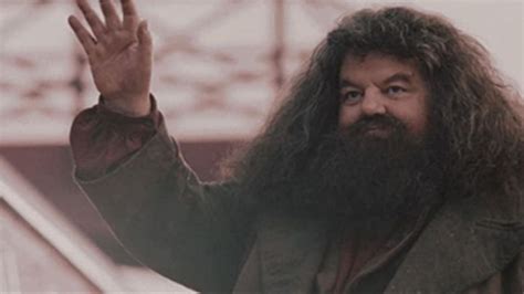 Lacteur Qui Jouait Le Gentil G Ant Hagrid Dans Harry Potter Robbie