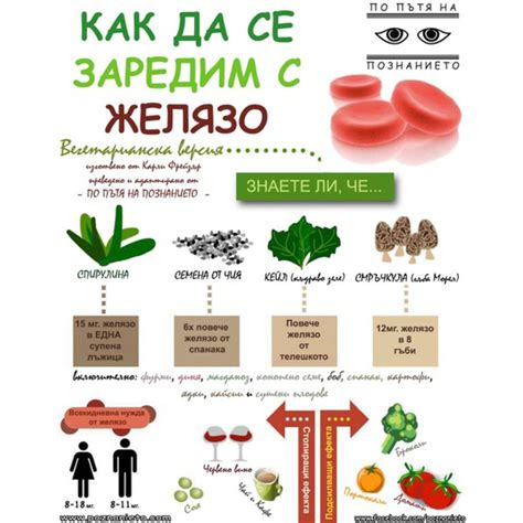 Храни и хранителни добавки, богати на желязо. Растителни храни за желязо.