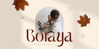 Autumn Font | Webfont & Desktop | MyFonts