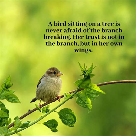 A Bird Sitting On A Tree Is Never Afraid Of The Branch Breaking Her