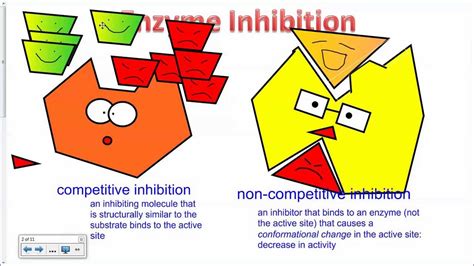 Enzyme Inhibition Ib Biology Youtube