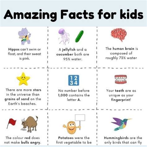 Fun Facts For Kids 30 Facts For Kids Every Kid Should Know Fun