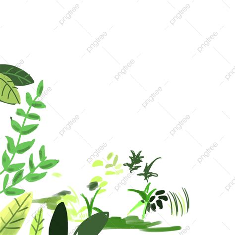 Green Plant Border Hd Transparent Green Plant Border Grass Lawn