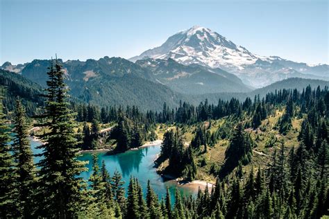 Mount Rainier National Park Weather And Climate In 2024 Sunheron