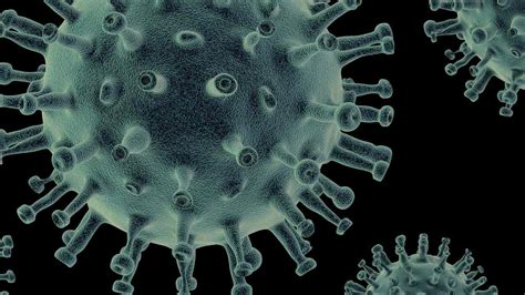 Virus Sinciziale Aumentano I Casi In Italia Riconoscere I Sintomi Sui