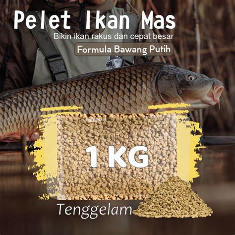 Jual Pelet Tenggelam Pakan Makanan Ikan Mas Sinking 1 Kg Bawang Putih