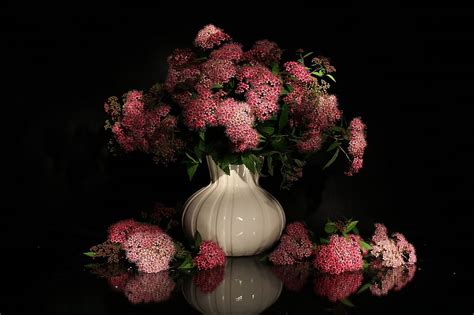 Beautiful Flowers Black Background Flowers Vase Bouquet Hd