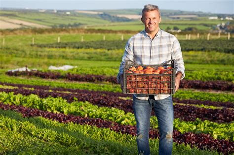 Homenagem Ao Dia Do Agricultor A Mais Nobre Das Profiss Es Portal