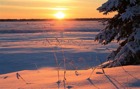 Solstice dhiver Trois choses à savoir sur le jour le plus court de l