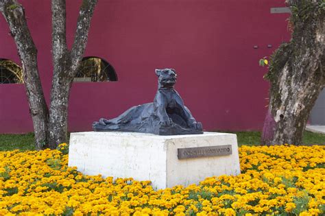 MEMORIAL EM HOMENAGEM AO ARTISTA JOÃO TURIN SERÁ INAUGURADO