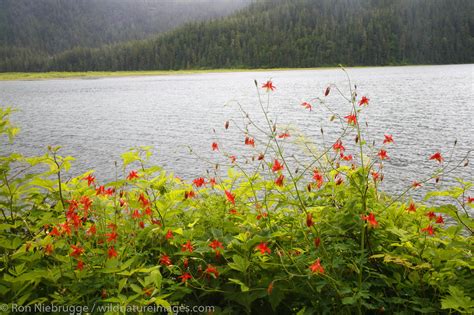 Cordova, Alaska | Photos by Ron Niebrugge