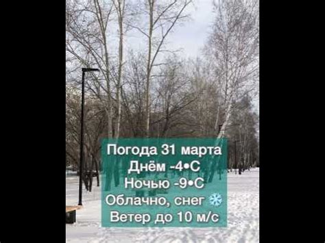 2023-03-31 погода в Сосновоборске и Красноярске - YouTube