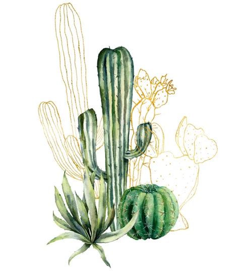 Tarjeta De Cactus Acuarela Con Impresión De Línea De Arte Colección