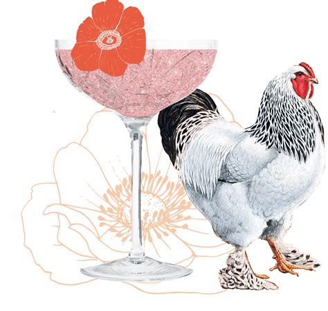 Drinking With Chickens Craft Cocktail Recipes