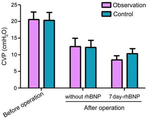 Protective Effects Of Recombinant Human Brain Natriuretic Peptide In