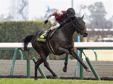 ユーバーレーベン第82回優駿牝馬オークス優勝！ Tk達乃助の馬ﾌﾞﾛｸﾞ