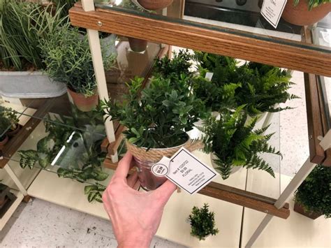 10 Trendy Hobby Lobby Fake Plants That Look Faux Real