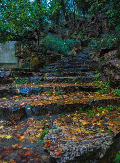 秋风秋雨秋渐凉，秋叶秋水秋意浓，摄影，美图秋意浓秋叶秋水新浪新闻