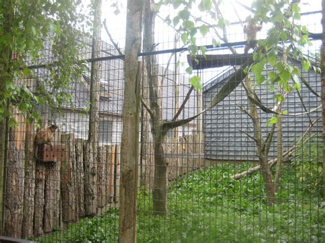 Munkholm Zoo Capuchin Monkey Exhibit Zoochat