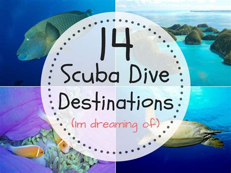 14 Best Scuba Diving Destinations In The World