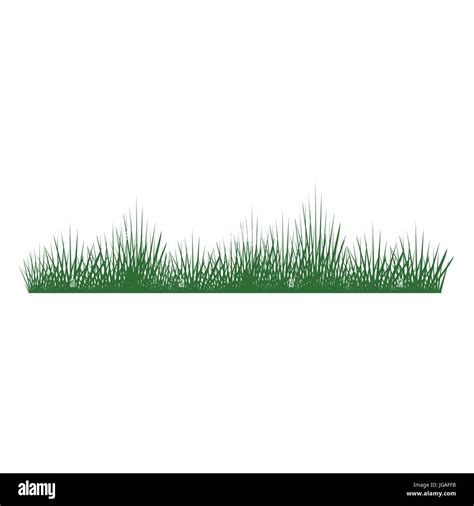 Vector Illustration Green Grass Isolated On White Background Spring Fresh Grass Grass Border