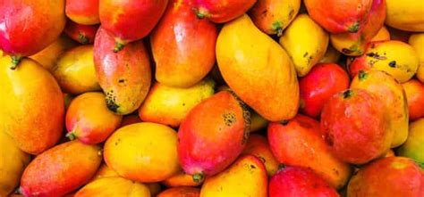 10 Impresionantes Beneficios Para La Salud Del Mango