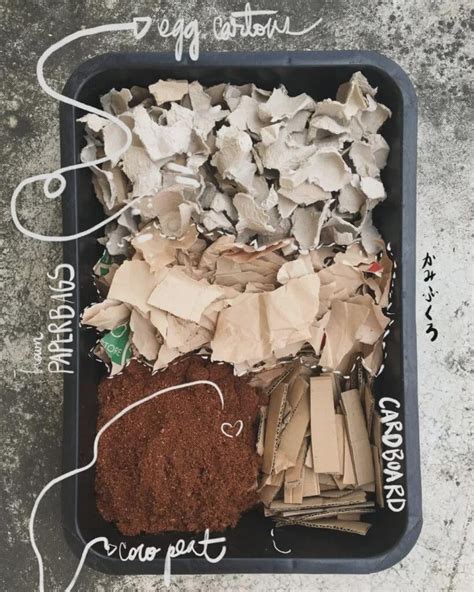 How To Build A Worm Bin A Diy Guide For Vermicomposting R Garden768678