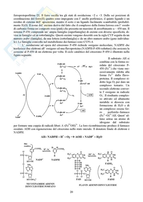 Chimica Farmaceutica E Tossicologica I Appunti