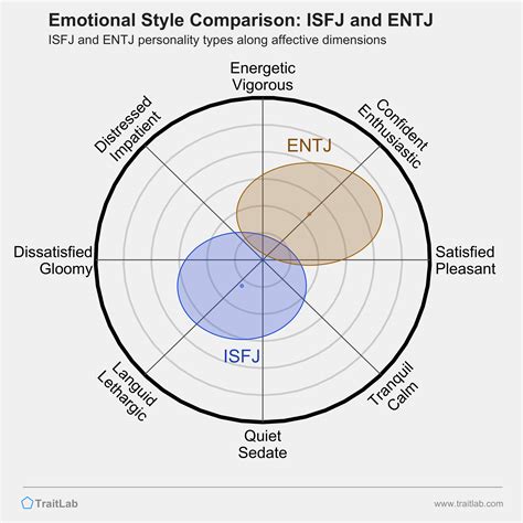 ISFJ And ENTJ Compatibility Relationships Friendships And Partnerships