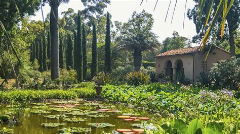 Lotusland | The Cultural Landscape Foundation