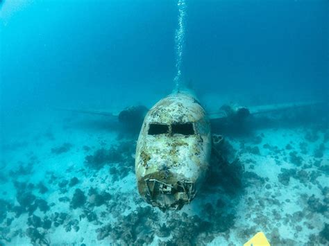 Diving The Sonesta Plane Wrecks In Aruba Touristsecrets