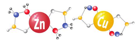 CHELATED MINERALS - Performance Horse Nutrition