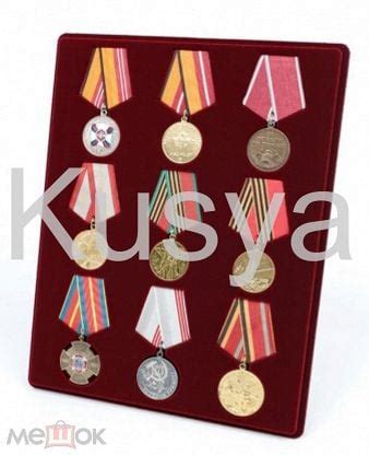 Планшет флокированный вертикальный, для хранения медалей с подвесом 32 ...
